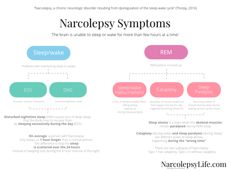 Нарколепсия это. Narcolepsy. Narcolepsy treatment. Нарколепсия схема. Narcolepsy dia.