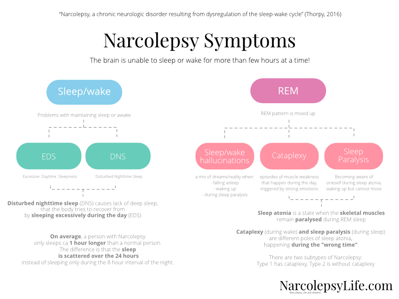 NarcolepsyLife.com - Narcolepsy Symptoms